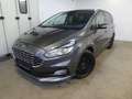 Ford S-Max 2.0 EcoBlue Aut. AHK, Kamera, W-Paket Grau - thumbnail 1