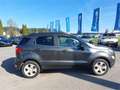 Ford EcoSport 1,0 EcoBoost Titanium Grau - thumbnail 6