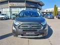 Ford EcoSport 1,0 EcoBoost Titanium Grau - thumbnail 8