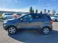 Ford EcoSport 1,0 EcoBoost Titanium Grau - thumbnail 2