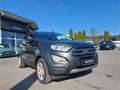 Ford EcoSport 1,0 EcoBoost Titanium Grau - thumbnail 7