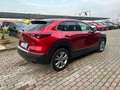 Mazda CX-30 CX-30 2.0 m-hybrid Executive Ap Pack 2wd 122cv 6mt Rouge - thumbnail 7