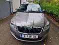 Skoda Fabia Fabia Combi Ambiente 1,6 TDI CR DPF Ambiente Grau - thumbnail 7
