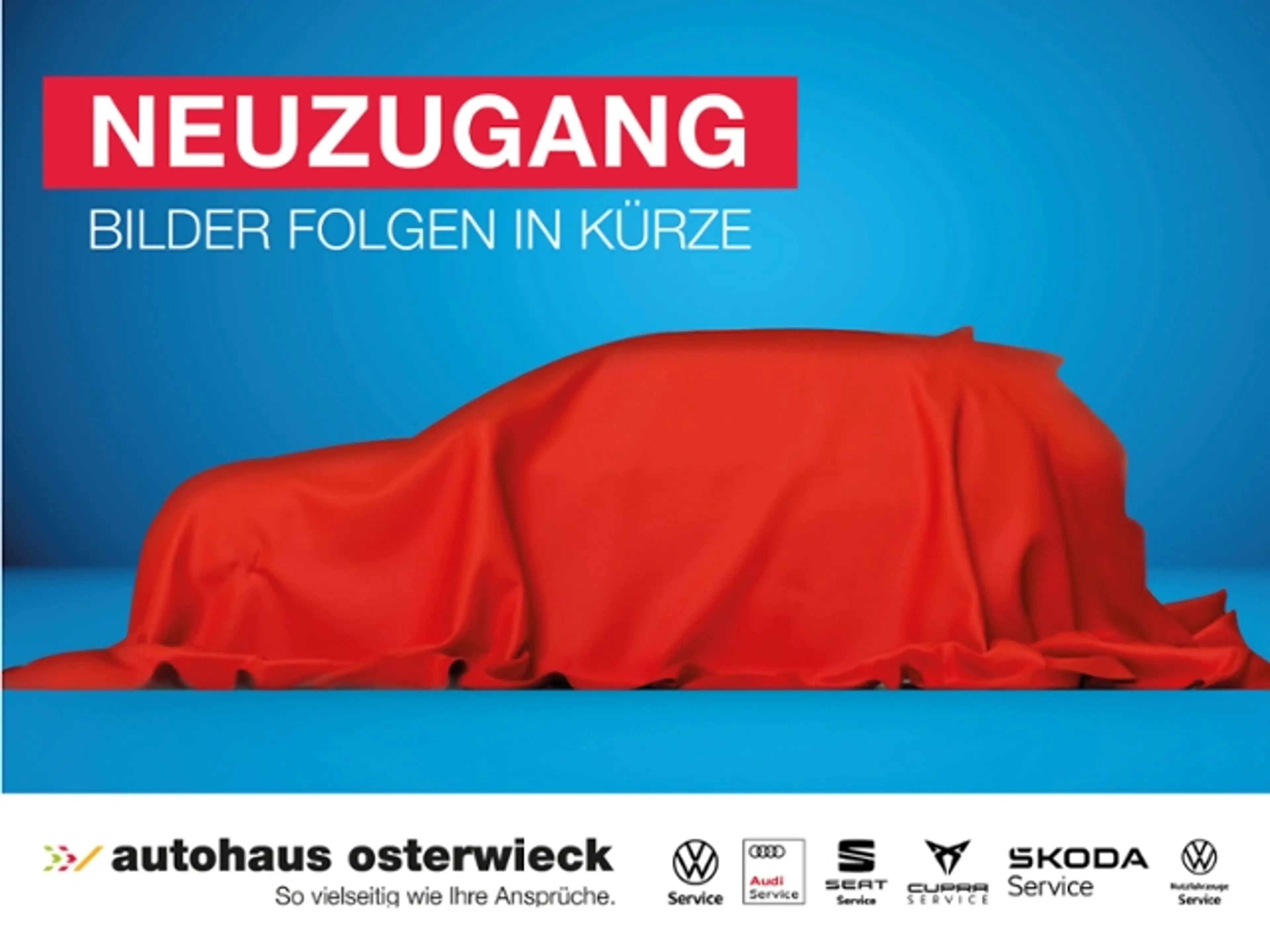 Audi SQ8 SUV TFSI 373(507) kW(PS) tiptronic