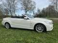 Mercedes-Benz E 350 E350d CABRIO  BlueEFF.  V6/LEDER/COMAND/DIST. Beyaz - thumbnail 1