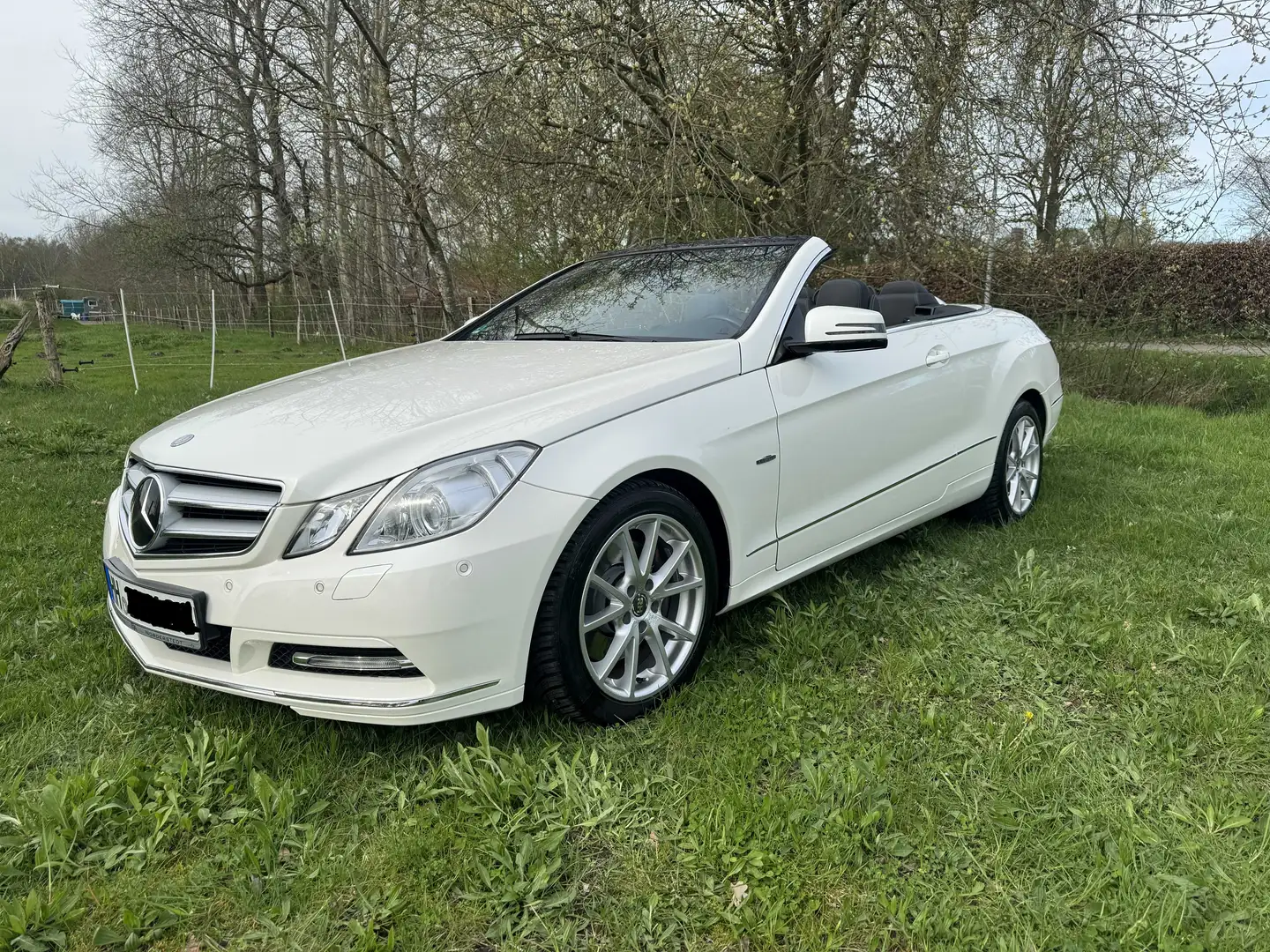 Mercedes-Benz E 350 E350d CABRIO  BlueEFF.  V6/LEDER/COMAND/DIST. Weiß - 2