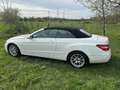 Mercedes-Benz E 350 E350d CABRIO  BlueEFF.  V6/LEDER/COMAND/DIST. Alb - thumbnail 9