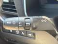 Nissan Qashqai MHEV 158 Xtronic Tekna Plus | PANORAMADAK | HEAD-U Vert - thumbnail 36