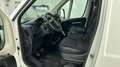 Peugeot Boxer BOXER 330 L2H1 PREMIUM BlueHDi  KAMERA/STANDHEIZ Blanco - thumbnail 5