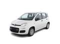 Fiat Panda 1.2 GPL 70 CV S&S Easy 5 Posti Bianco - thumbnail 1