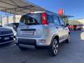 Fiat Panda Panda 4x4 1.3 mjt  MULTIFUNZIONE BLUETHOOT Grijs - thumbnail 5
