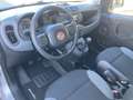 Fiat Panda Panda 4x4 1.3 mjt  MULTIFUNZIONE BLUETHOOT Grijs - thumbnail 8