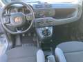 Fiat Panda Panda 4x4 1.3 mjt  MULTIFUNZIONE BLUETHOOT Grijs - thumbnail 9