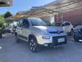 Fiat Panda Panda 4x4 1.3 mjt  MULTIFUNZIONE BLUETHOOT Grijs - thumbnail 3
