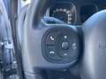 Fiat Panda Panda 4x4 1.3 mjt  MULTIFUNZIONE BLUETHOOT Grijs - thumbnail 11