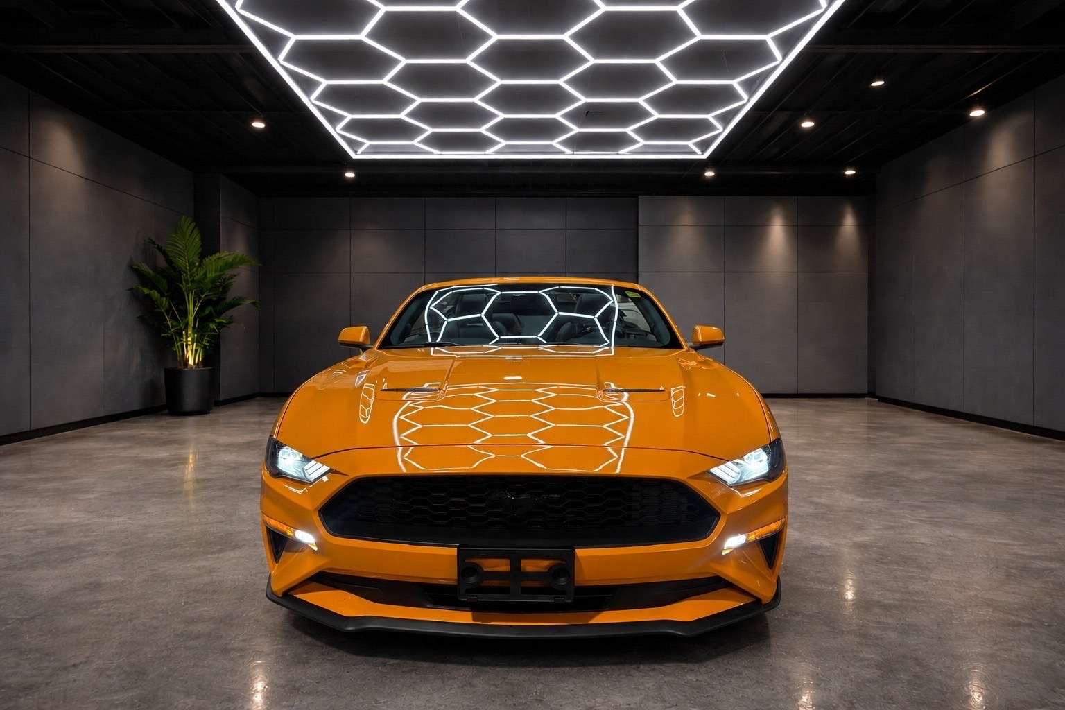 2019 Ford Mustang EcoBoost Convertible — снимка 1