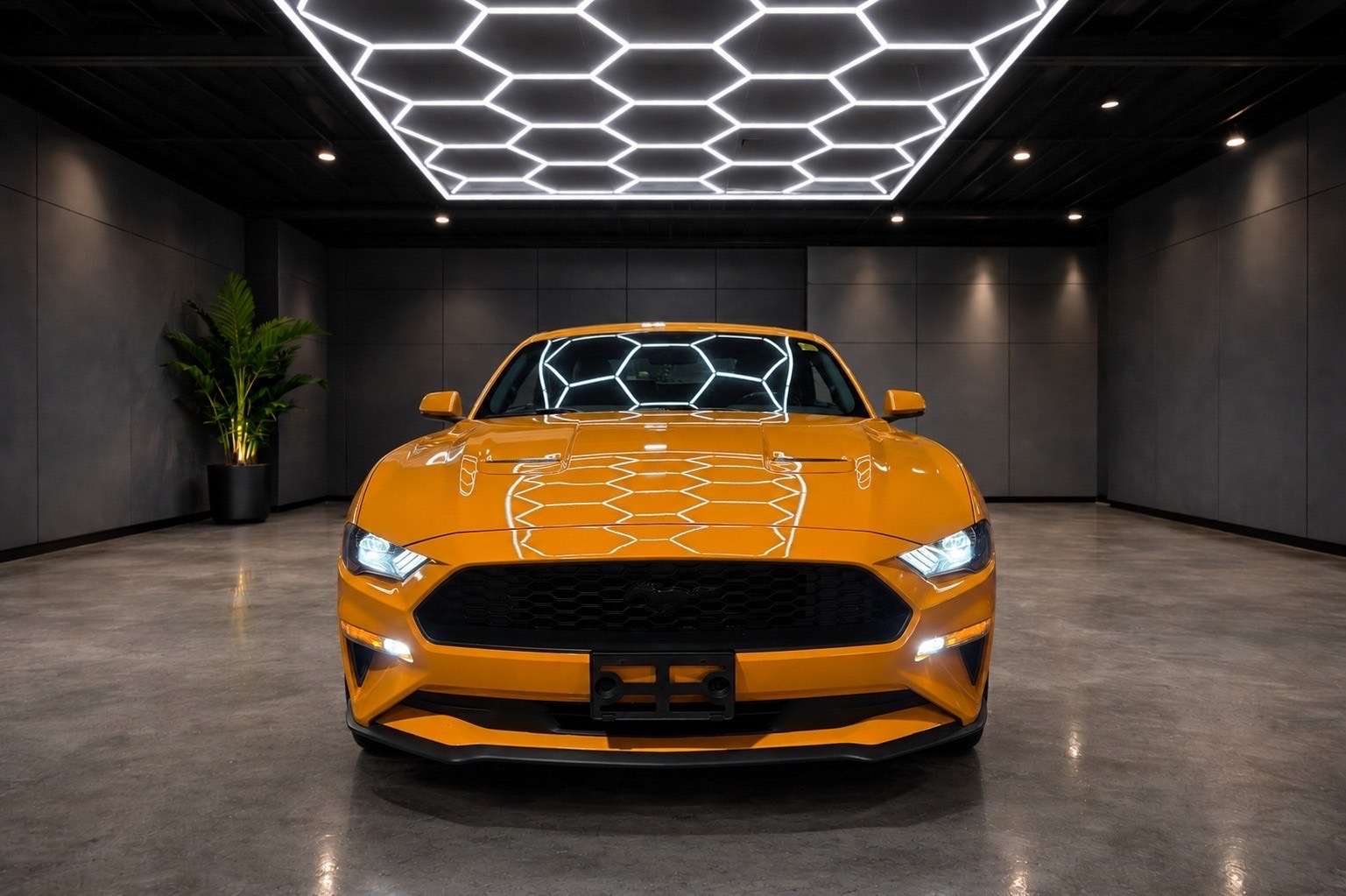 2019 Ford Mustang EcoBoost Convertible — снимка 1
