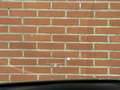Kia Niro 1.6 GDi Hybrid DynamicPlusLine | €4.940,- korting Vert - thumbnail 27