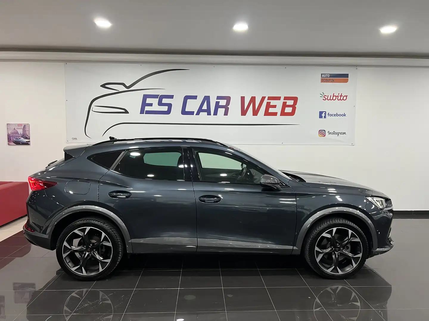 CUPRA Formentor 2.0 tdi 4drive 150cv dsg Gris - 2
