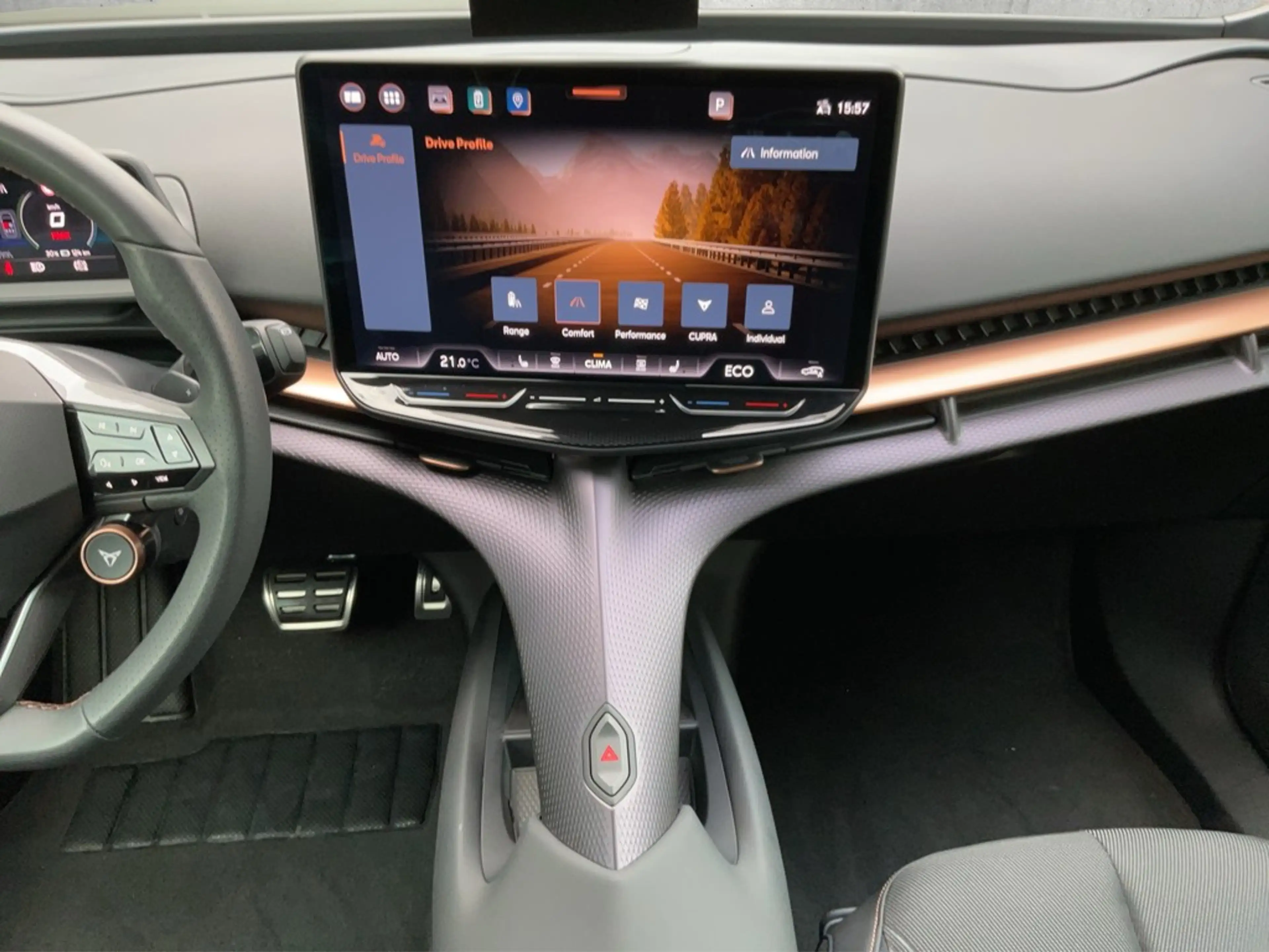 CUPRA Tavascan Endurance — photo 14