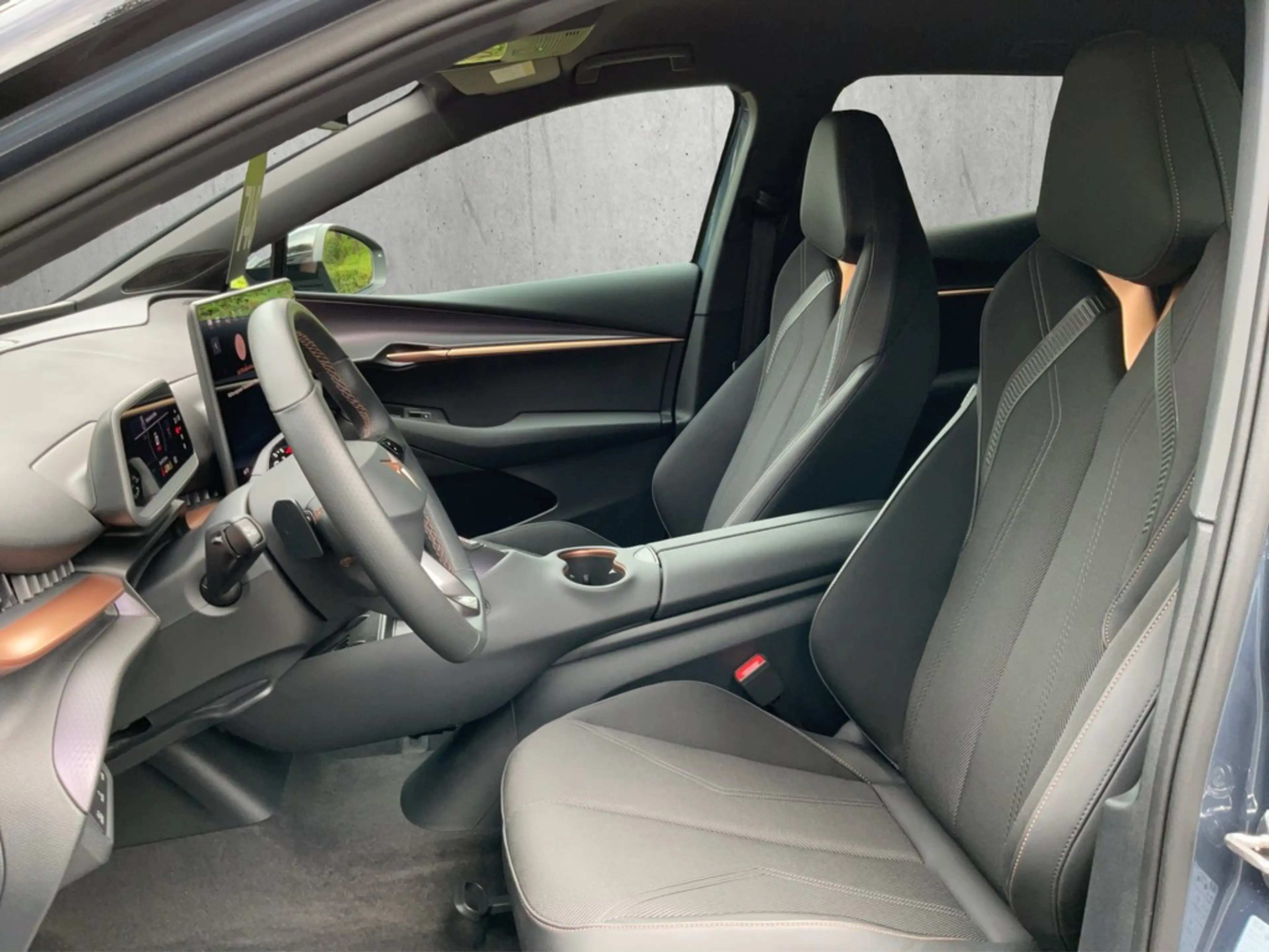 CUPRA Tavascan Endurance — photo 9