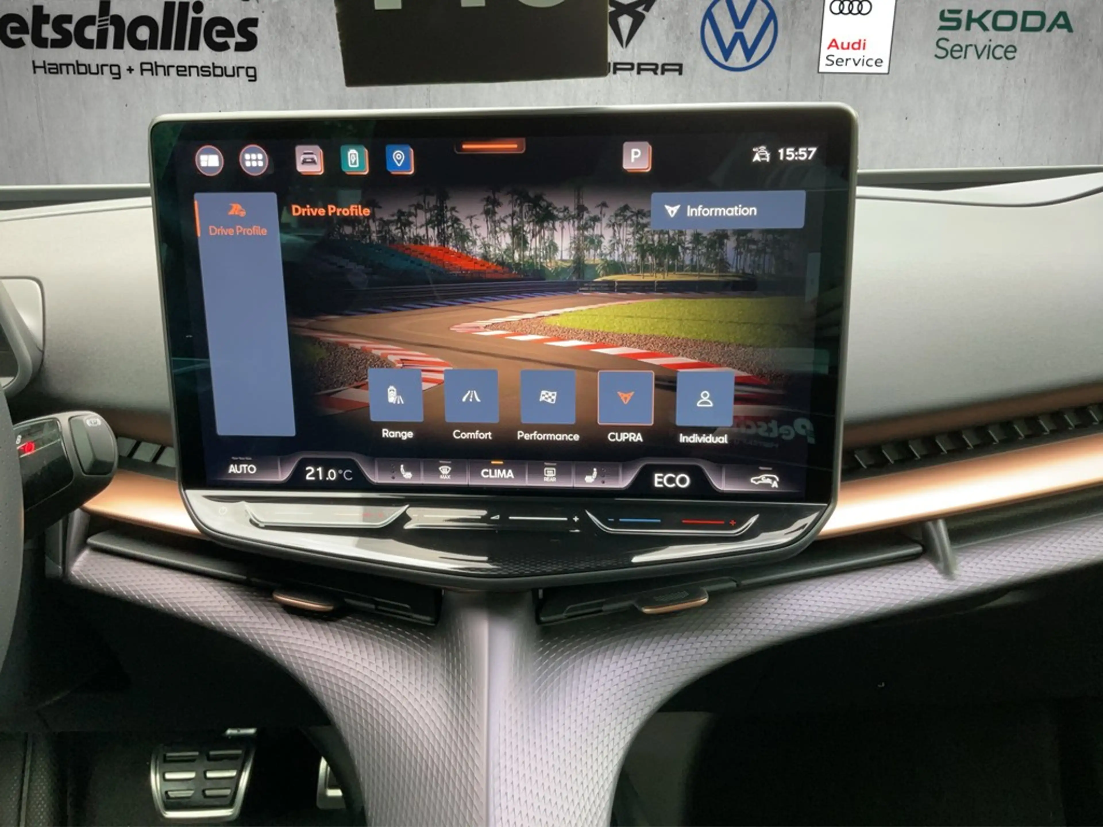 CUPRA Tavascan Endurance — photo 15