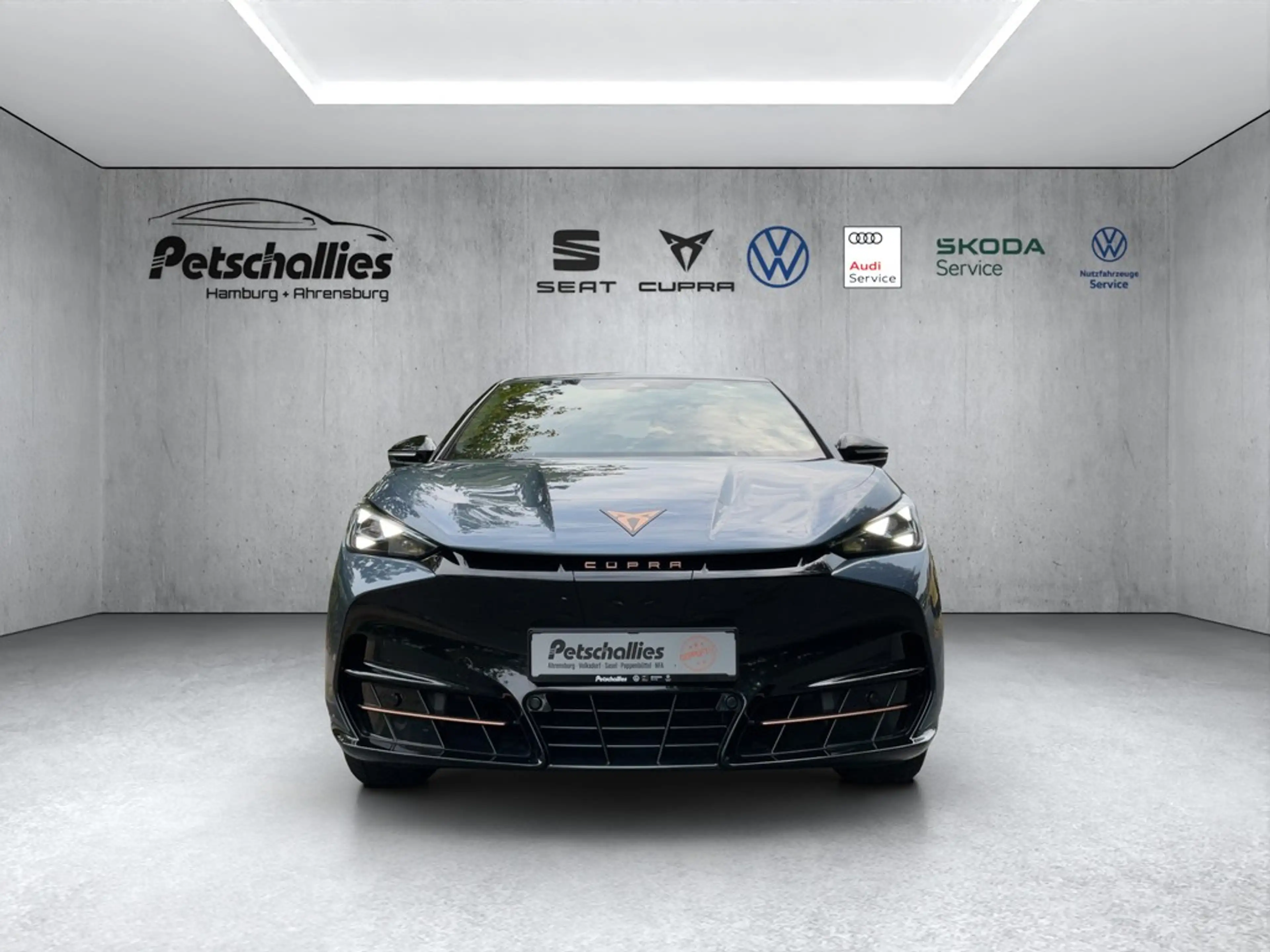 CUPRA Tavascan Endurance — photo 8