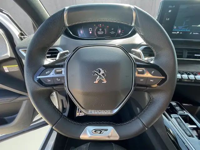 Peugeot 3008 view 10