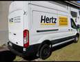 Ford Transit van trend 350 2.0 tdci 170 cv Ecoblue L3H3, Bianco Bianco - thumbnail 6