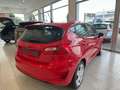 Ford Fiesta 5p 1.5 tdci Plus 85cv Rosso - thumbnail 3