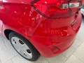 Ford Fiesta 5p 1.5 tdci Plus 85cv Rosso - thumbnail 6