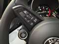 Alfa Romeo Stelvio 2.2 Turbodiesel 190 CV AT8 Q4 Business Grigio - thumbnail 23