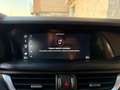 Alfa Romeo Stelvio 2.2 Turbodiesel 190 CV AT8 Q4 Business Grigio - thumbnail 30