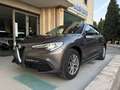Alfa Romeo Stelvio 2.2 Turbodiesel 190 CV AT8 Q4 Business Grigio - thumbnail 1