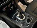 Alfa Romeo Stelvio 2.2 Turbodiesel 190 CV AT8 Q4 Business Grigio - thumbnail 21