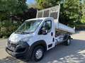 Fiat Ducato Benne Basculante (TVA Récupérable) Blanc - thumbnail 2