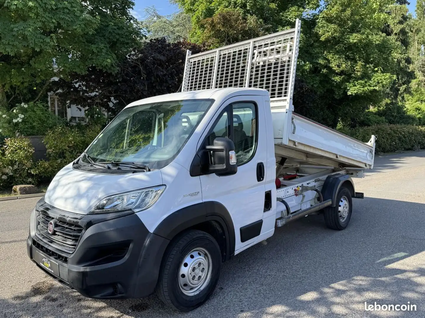 Fiat Ducato Benne Basculante (TVA Récupérable) Blanc - 2