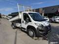 Fiat Ducato Benne Basculante (TVA Récupérable) Blanc - thumbnail 1