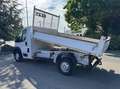 Fiat Ducato Benne Basculante (TVA Récupérable) Blanc - thumbnail 3