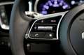 Kia 1.0 MHEV 74KW TECH DCT 100CV 5P Gri - thumbnail 14