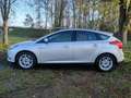 Ford Focus 1.6 TI-VCT Titanium Automaat | CLIMA | NAVI | CRUI Gris - thumbnail 8