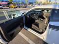 Dodge Challenger Challenger SXT 3.6 V6 SXT - thumbnail 5