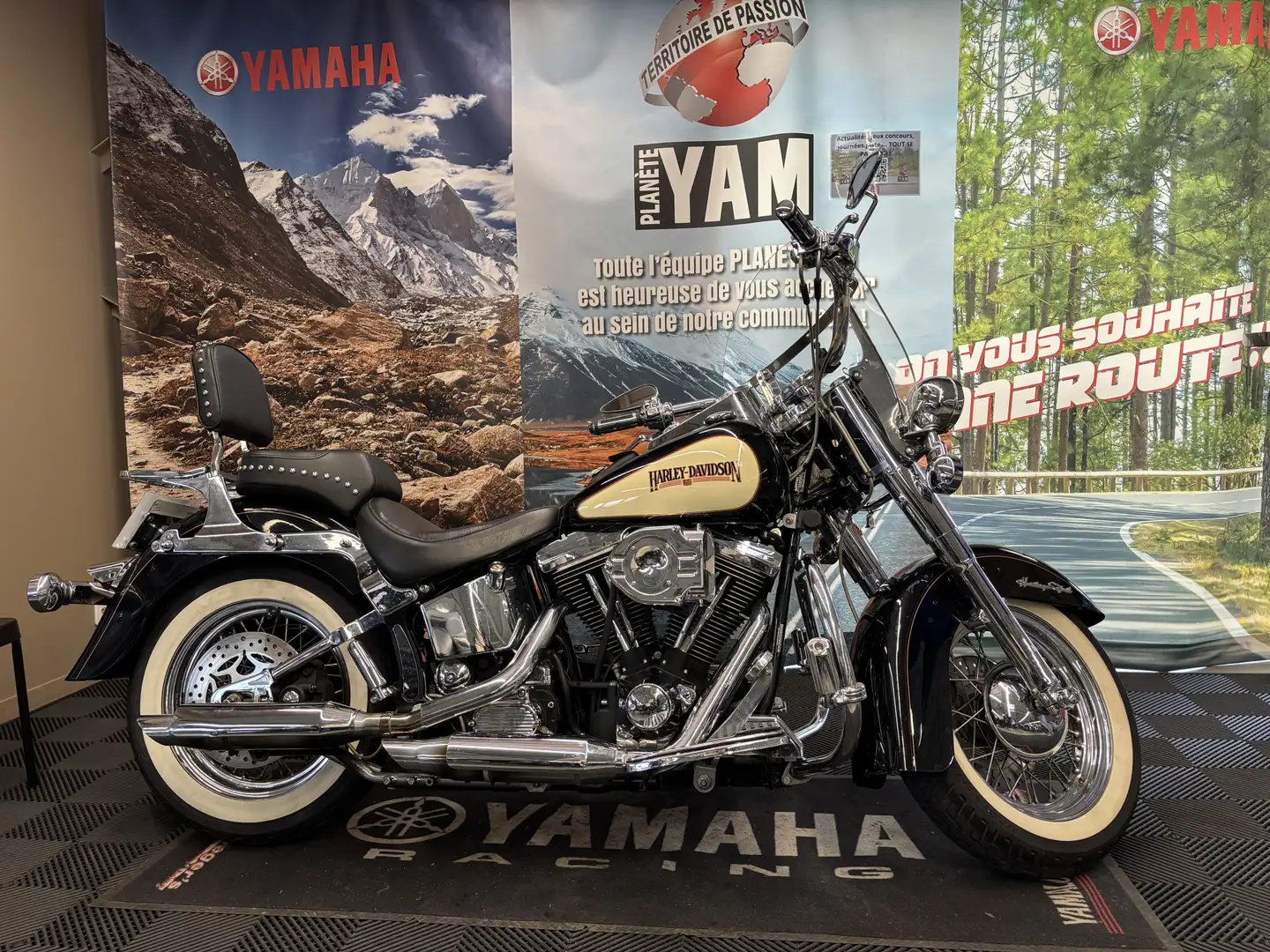 Harley-Davidson Heritage - 1