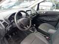 Ford EcoSport 1.0 ecoboost Titanium UNICOPROPRIETARIO Gris - thumbnail 9