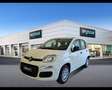 Fiat Panda 1.0 FireFly Hybrid Icon Blanc - thumbnail 1