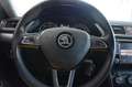Skoda Superb Combi 2.0 TDI Style 4x4 *DSG*BI-XENON*2HD Blau - thumbnail 13