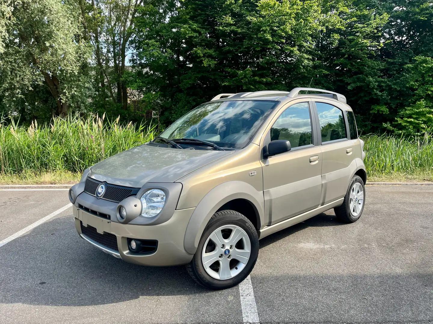 Fiat Panda Panda 1.3 4x4 Multijet Diesel Cross Gris - 1