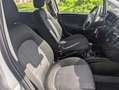 Fiat Punto Punto 1.2 8V 5 porte Street UNICO PROPRIETARIO Argento - thumbnail 11