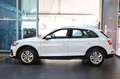 Audi Q5 35 TDI S-Tronic Business - NAVI/LED Blanc - thumbnail 3