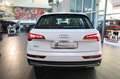Audi Q5 35 TDI S-Tronic Business - NAVI/LED Blanc - thumbnail 8